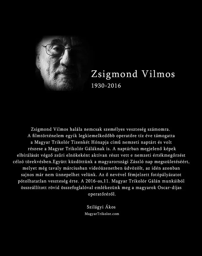 Vili emlekezes_2.webp