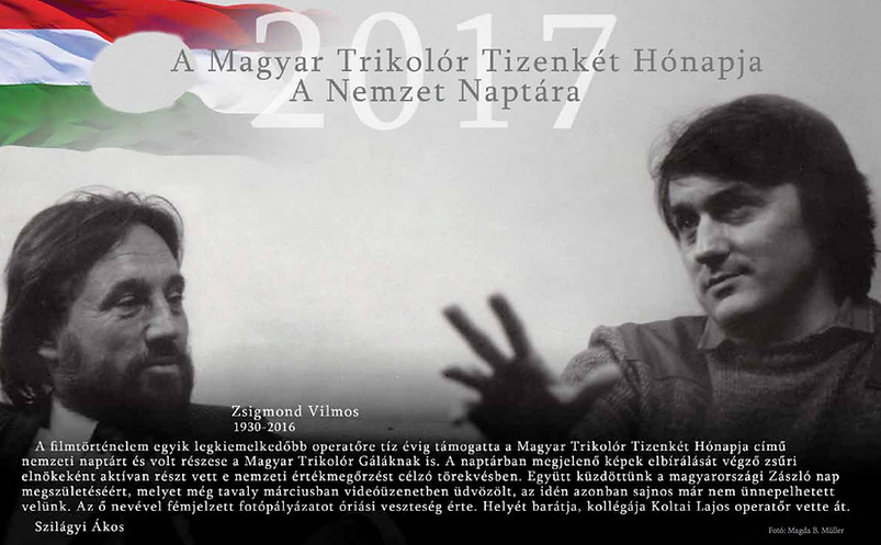 Vili emlekezes.webp