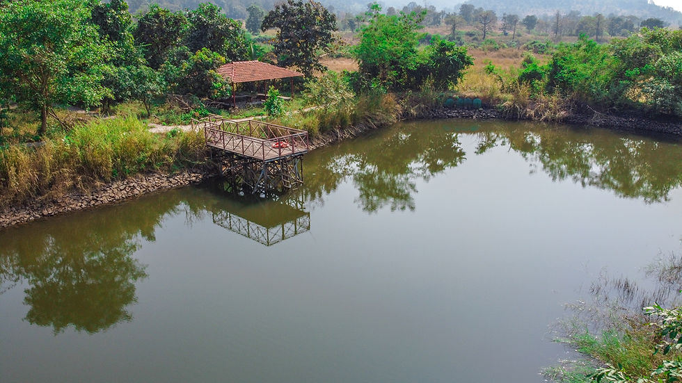 A lake for fishing near Pune.
