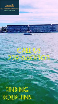 Thumbnail:  Day cruise cruise mini half day (4h)not valid for holidays, incl  captain &mate