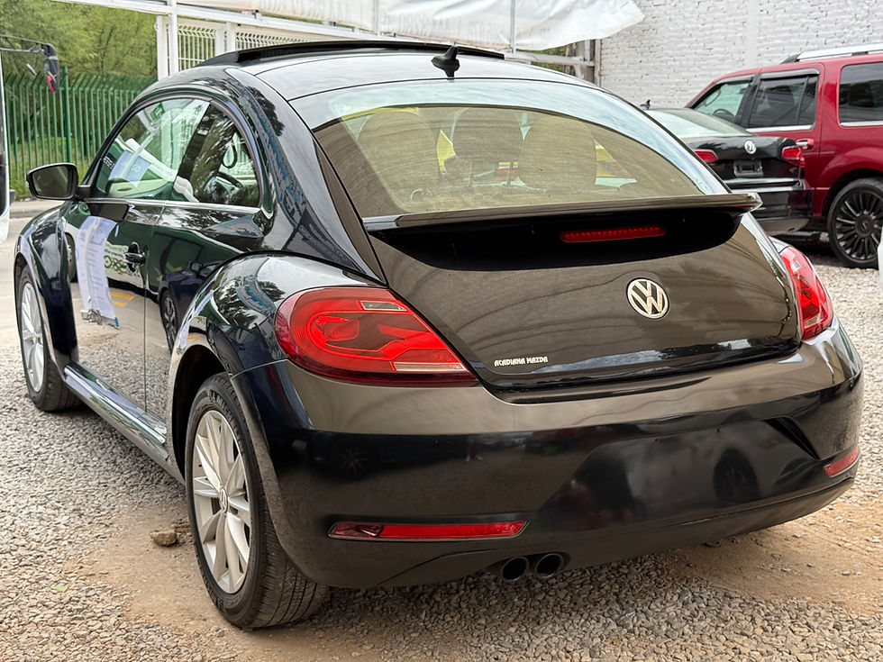 Miniatura: Beetle 2018 SE