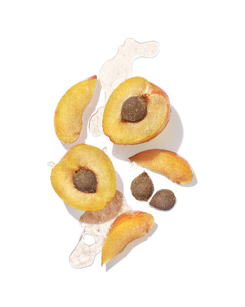 Thumbnail: Ingredient-Apricot Oil