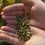 Thumbnail: Dandelion Root