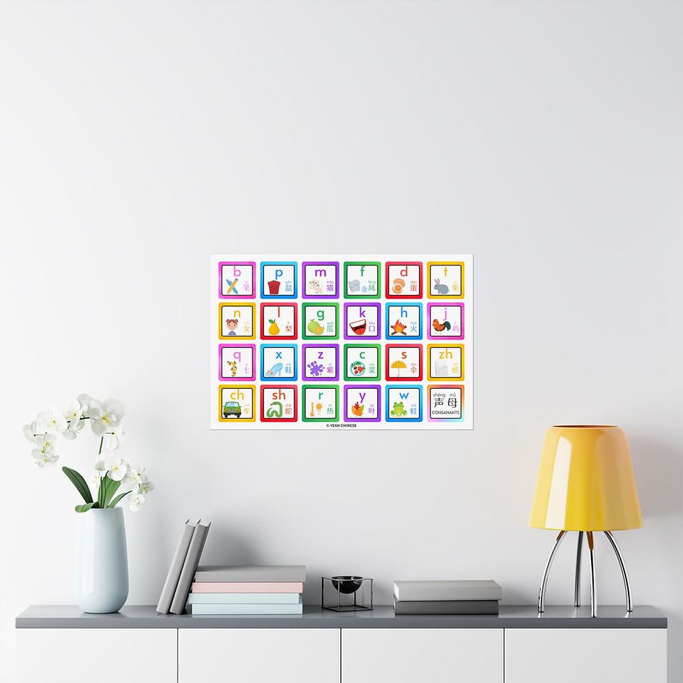 Thumbnail: Chinese Pinyin Chinese Consonants Poster |Fun Chinese Alphabets/Phonics|汉语拼音声母海报