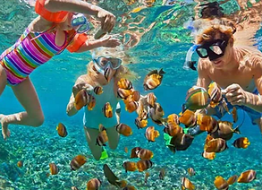 Snorkeling Thaïlande