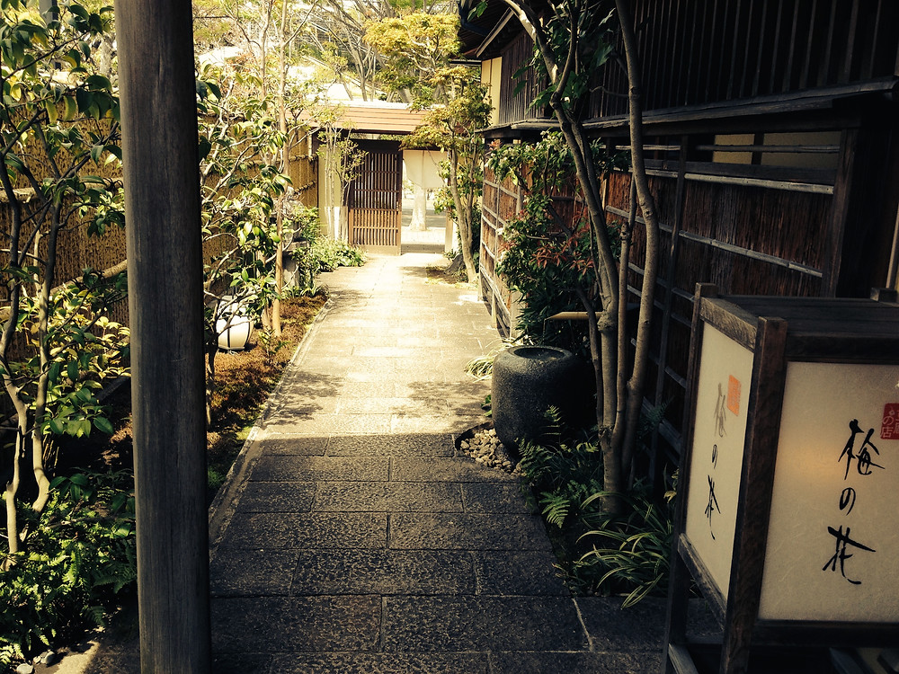 名古屋 梅の花 ひいおばあちゃんとランチ