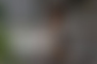 Talent Texting: Keeping Candidates Engaged in the Digital Age