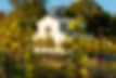 Davesté Vineyards.jpg