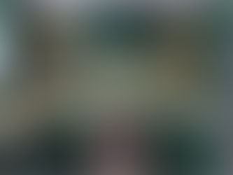 Green kitchen with patterned tile backsplash, shelves with jars, and fruit bowls. White counter, gold handles, and a modern stove.