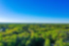 dreamstime_l_181328707.jpg