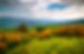 LW-Land-Mt-Properties-For-Sale (4).jpeg