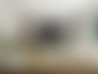 living room in custom home in charlotte nc