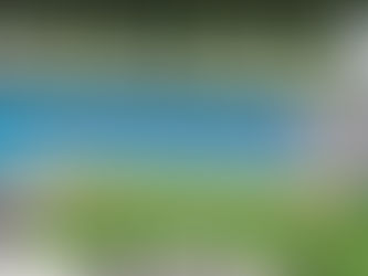 Custom renovation Myers Park Charlotte - pool rendering by VYNE Custom builders