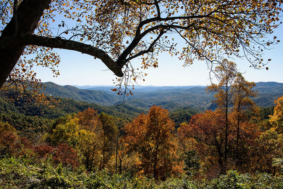 BLOWING ROCK EXCLUSIVELOTS JUST BELOW THE YADKIN VALLEY OVERLOOK