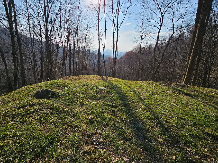 LW LAND - Leicester - Near Asheville NC