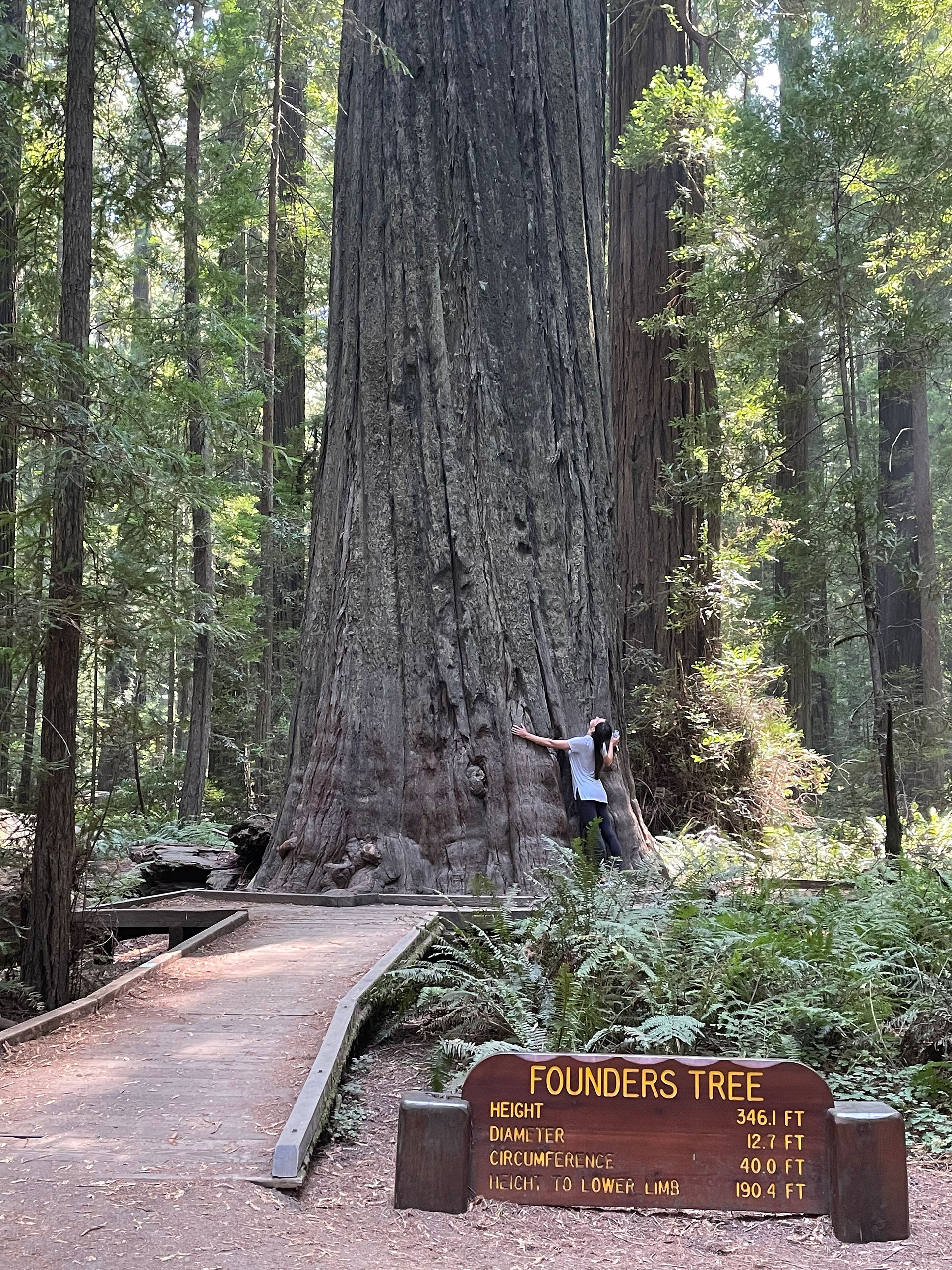 10 DAY CALIFORNIA PACIFIC COAST HIGHWAY ITINERARY 
