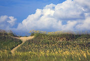 1908-carolina-cays-8.jpg