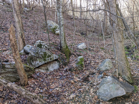 Leicester, NC, Waterfalls-creeks actual property photos