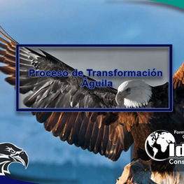 Proceso de Transformación Águila.jpg
