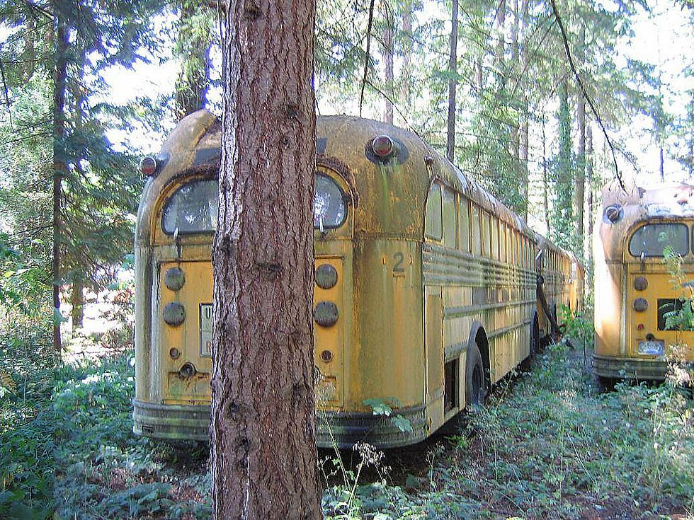 LeMay_Gillig_2_and_8_no2