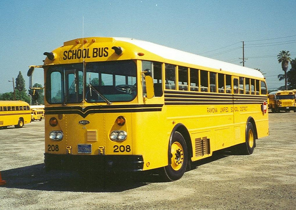 ramona208