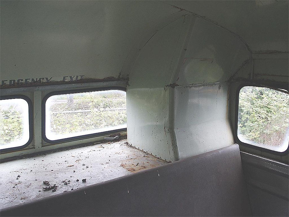 Bus_No_24_img5