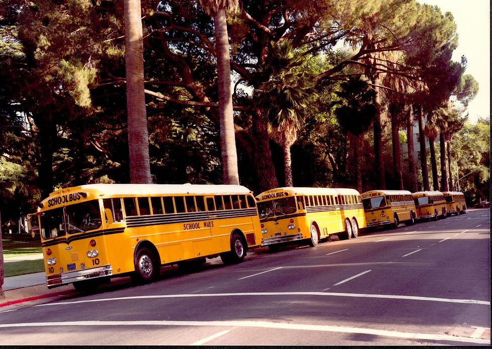 bus1