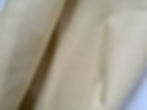 Canvas Ivory