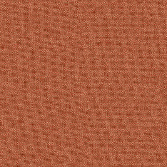 Delite - 017