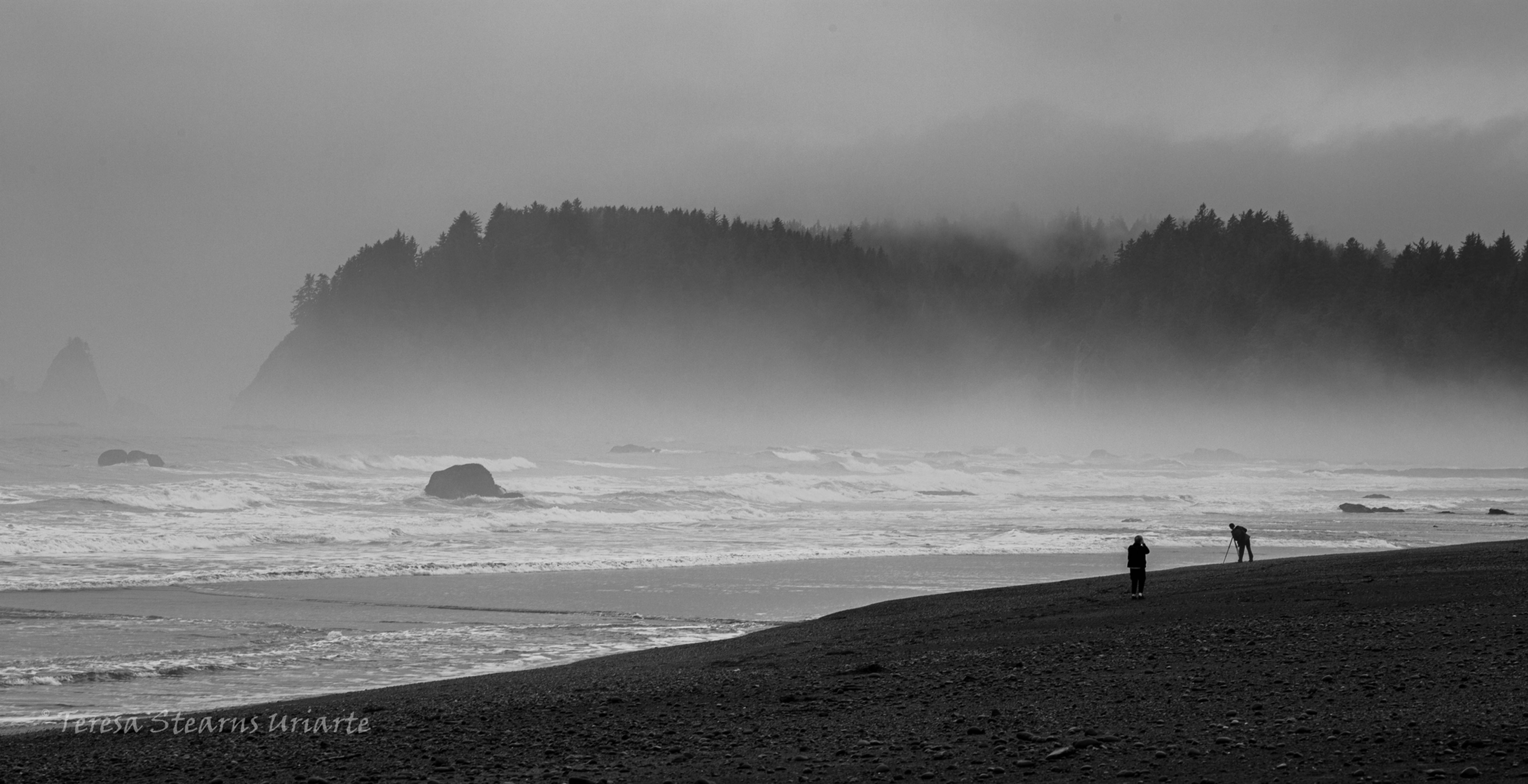 In the Mist on the Beach