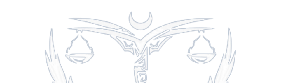 SEYHAN + PARTNERS salt logo şeffaf_edited.png