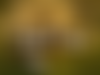 Hayvanın Hukuki Konumu ve Hayvan Rehni