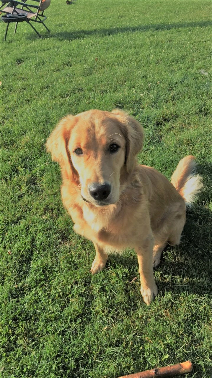 Bayla
