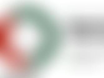 2026 NEW YEAR'S RESOLUTION : PREPARATION TO BE A SNOWBIRD