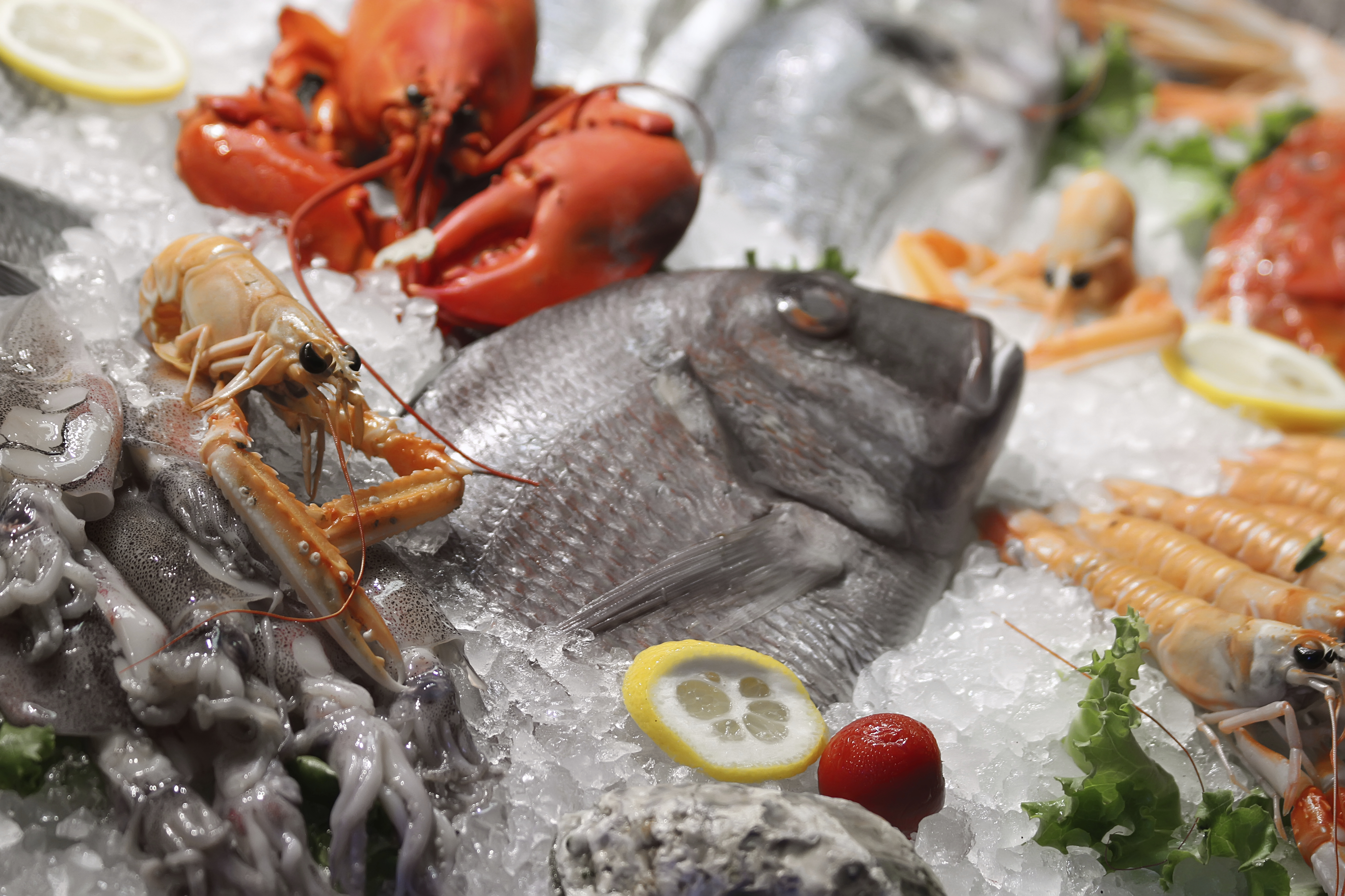 Comercializamos mais de 500 produtos