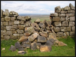 Rebuilding the Walls