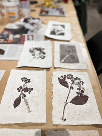 een natureprint op handgeschept papier een uniek kunstwerk verkrijgbaar bij Atelier Artesoffitta