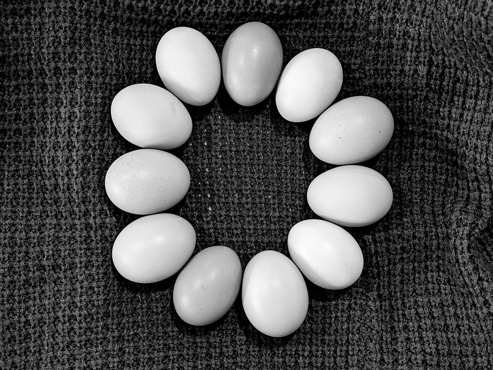 eggie.jpg