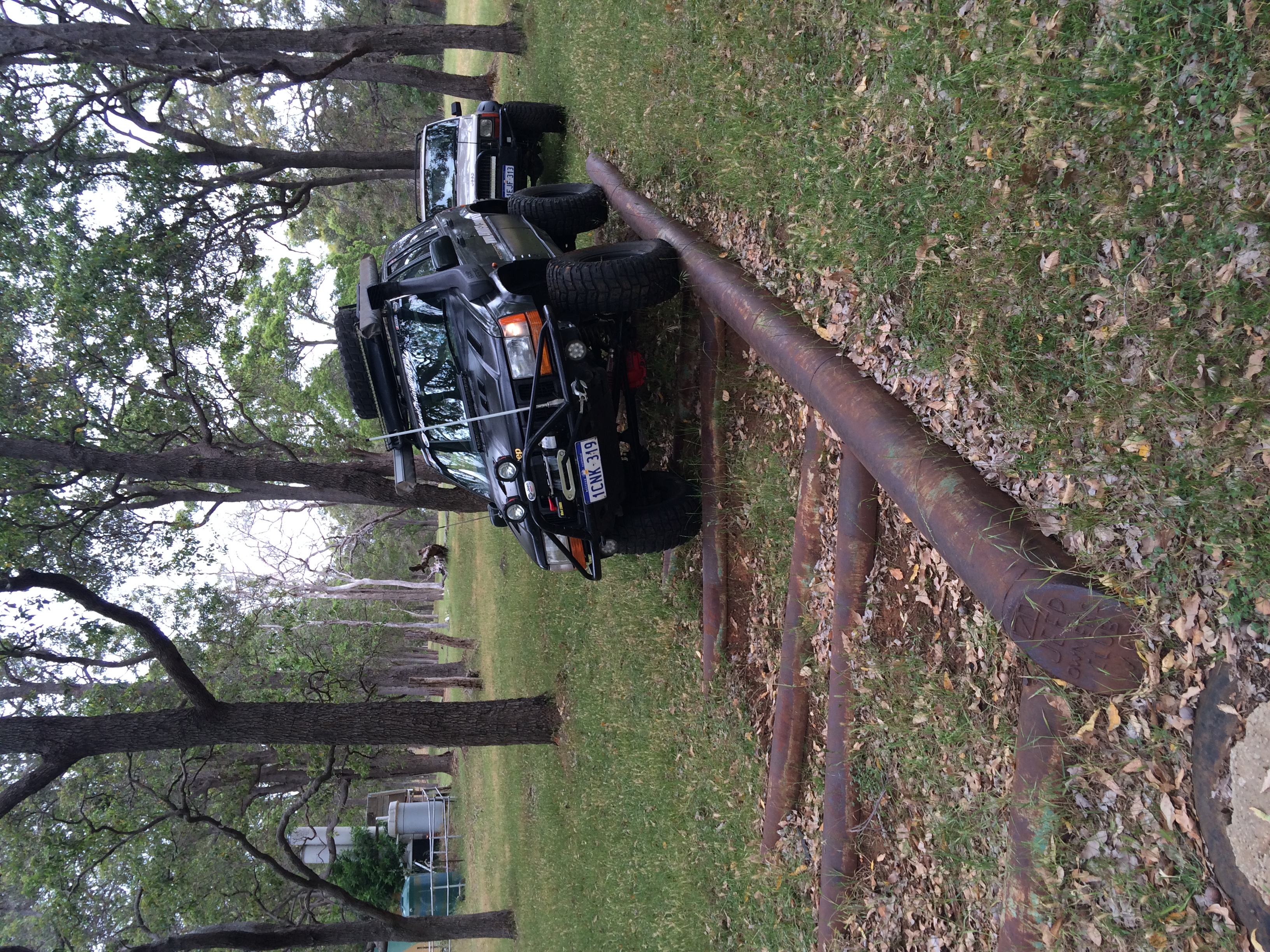 Log Walk