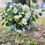 Thumbnail: Code VASE 02 - Limerence