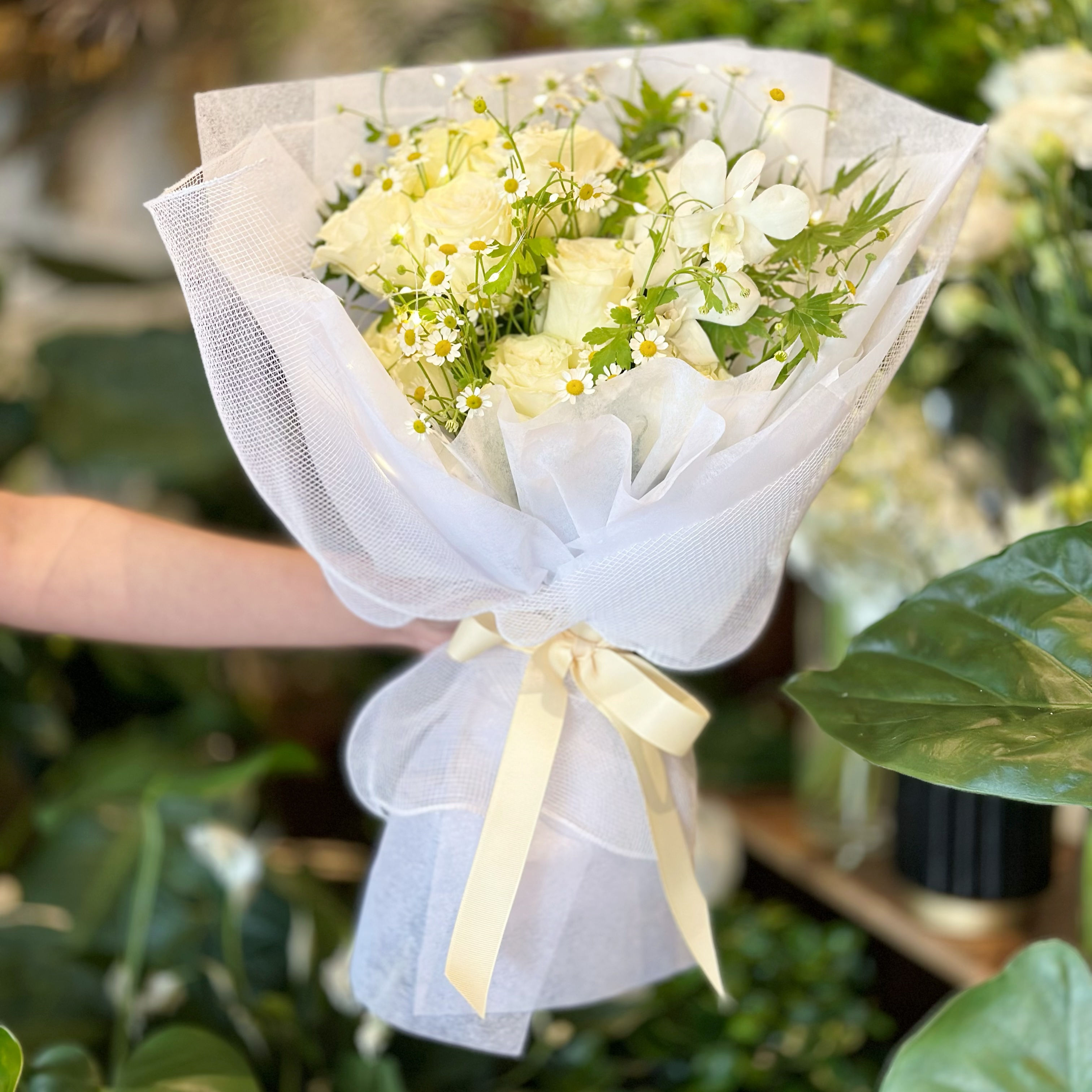 Code BQ 76 - Simple Chic