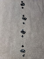 20250124_161531.jpg