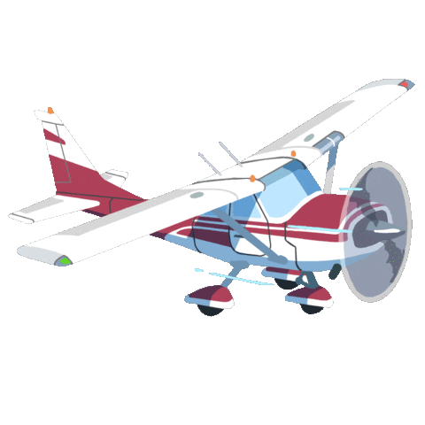 Animated Cessna.gif