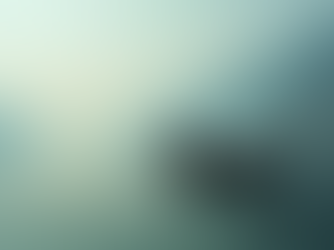 Explore the Best Travel Activities