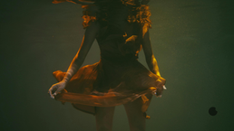 Busca de Berços | Capítulo 35