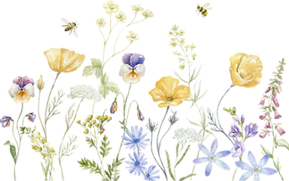 wildflower border pastel.png