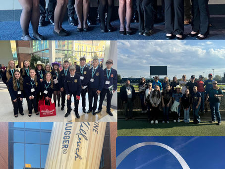 FFA National Convention