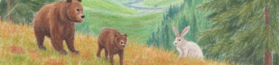 Untitled design (1).png