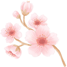 flower graphic