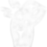 fractures icon